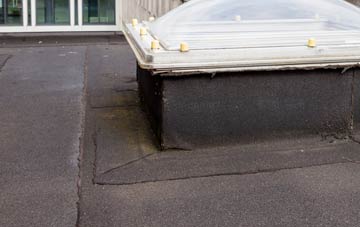 disadvantages of Neuadd flat roofs
