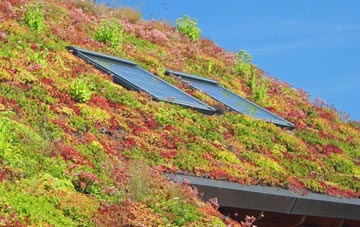 Neuadd living roof systems