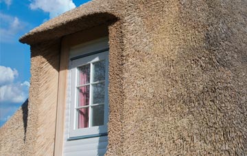 Neuadd thatch roof disadvantages